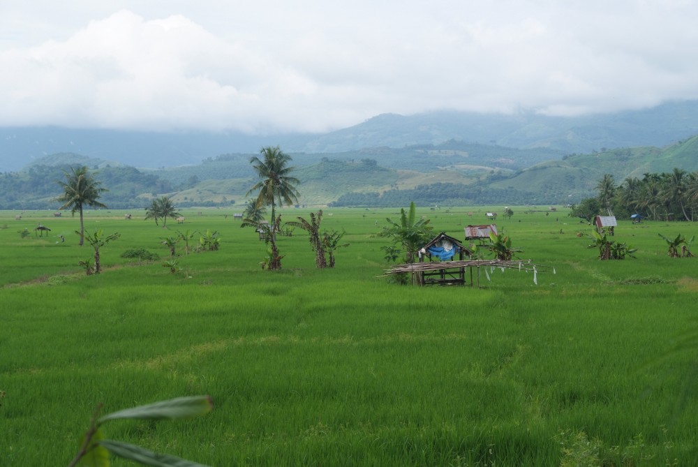 Sumatra Indonesien Hello Mister 037