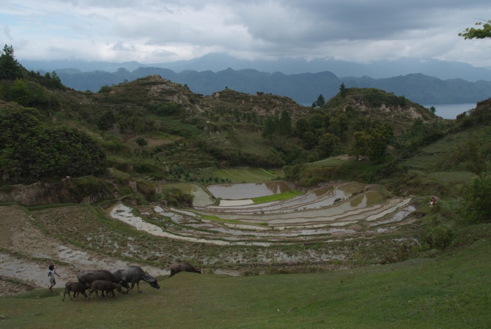 Tobasee Sumatra Indonesien 014